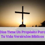 Dios Tiene Un Propósito Para Tu Vida Versículos Bíblicos