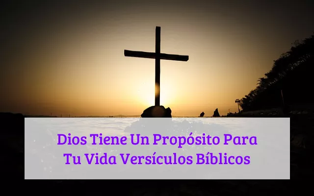 Dios Tiene Un Propósito Para Tu Vida Versículos Bíblicos