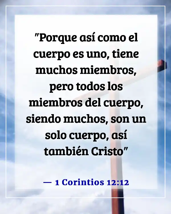 Versículos de la Biblia sobre el trabajo en equipo (1 Corintios 12:12)