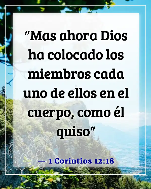 Versículos de la Biblia sobre la importancia de cada persona (1 Corintios 12:18)