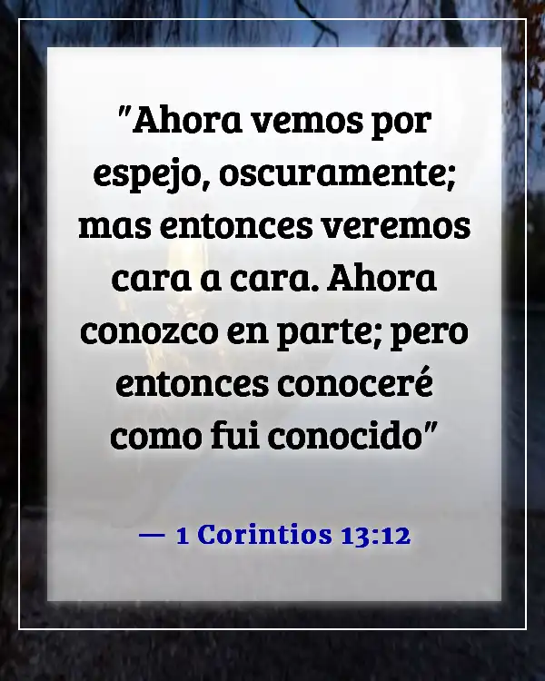 Versículos de la Biblia sobre la importancia de cada persona (1 Corintios 13:12)