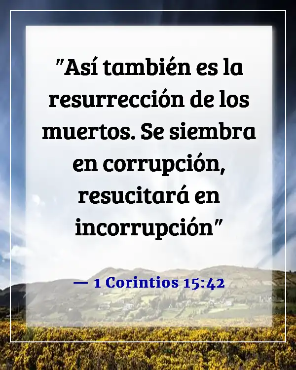 Versículos de la Biblia sobre la celebración de la vida después de la muerte (1 Corintios 15:42)