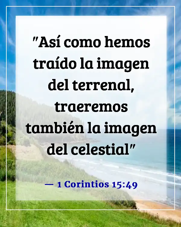 Versículos de la Biblia sobre ser transformados a la imagen de Cristo (1 Corintios 15:49)