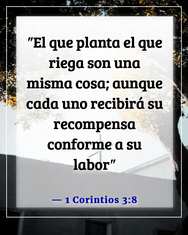 Versículos de la Biblia sobre asumir la responsabilidad de tus propias acciones (1 Corintios 3:8)