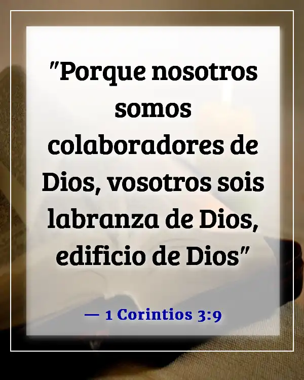 Versículo de la Biblia sobre el voluntariado en la iglesia (1 Corintios 3:9)