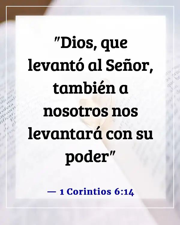 Versículos de la Biblia sobre la celebración de la vida después de la muerte (1 Corintios 6:14)