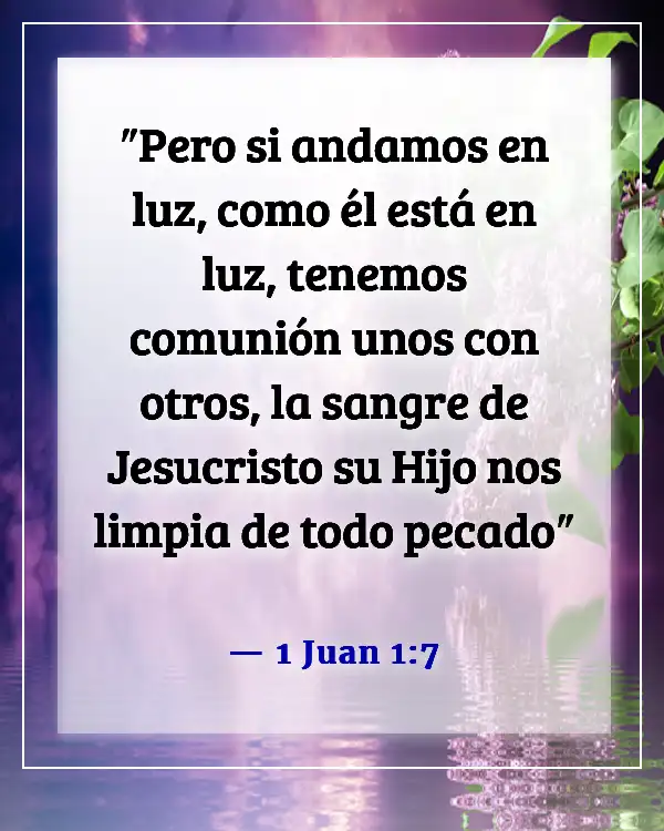 Versículo de la Biblia sobre vivir una vida transparente (1 Juan 1:7)