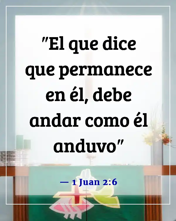 Versículos bíblicos sobre caminar en la presencia de Dios (1 Juan 2:6)