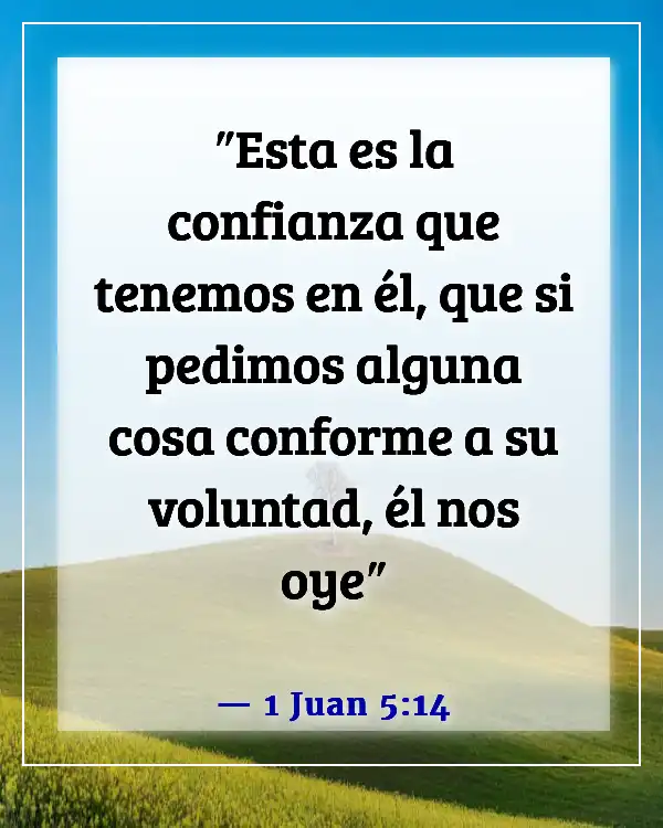 Versículos de la Biblia sobre Dios respondiendo a las oraciones (1 Juan 5:14)