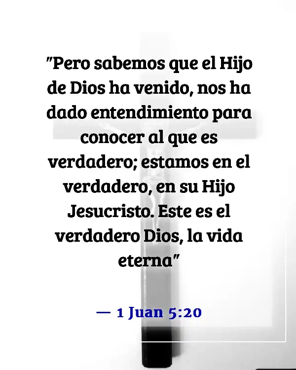 Versículos de la Biblia sobre estar en Cristo (1 Juan 5:20)