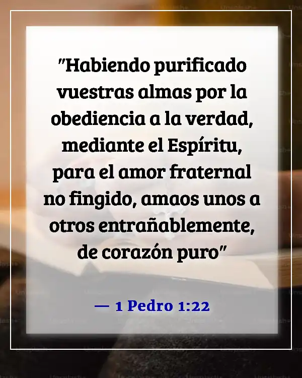 Versículos de la Biblia sobre Jesús amando a todos por igual (1 Pedro 1:22)