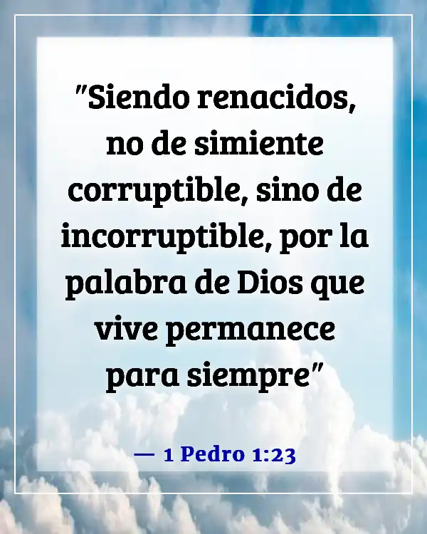 Versículos de la Biblia sobre la adopción en la familia de Dios (1 Pedro 1:23)