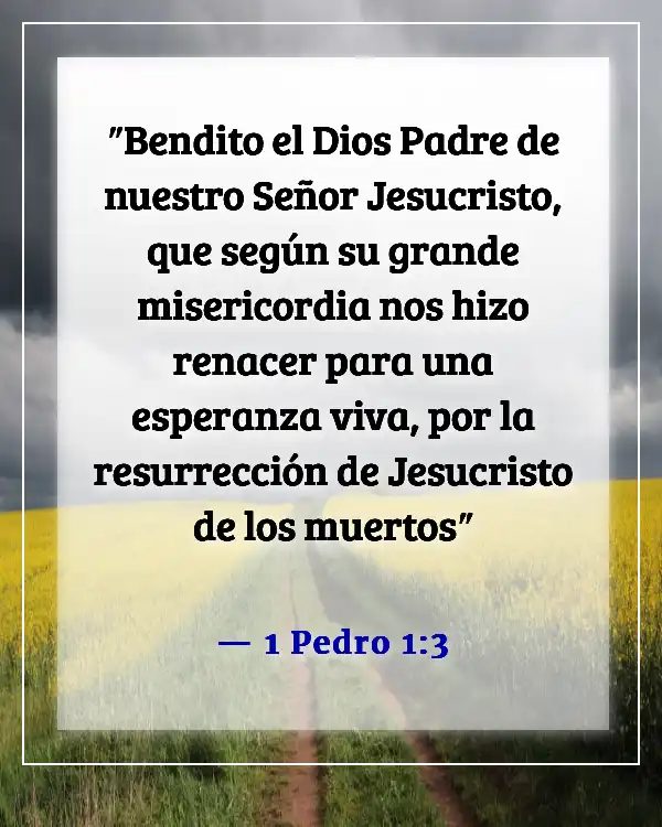 Versículos de la Biblia sobre la celebración de la vida después de la muerte (1 Pedro 1:3)