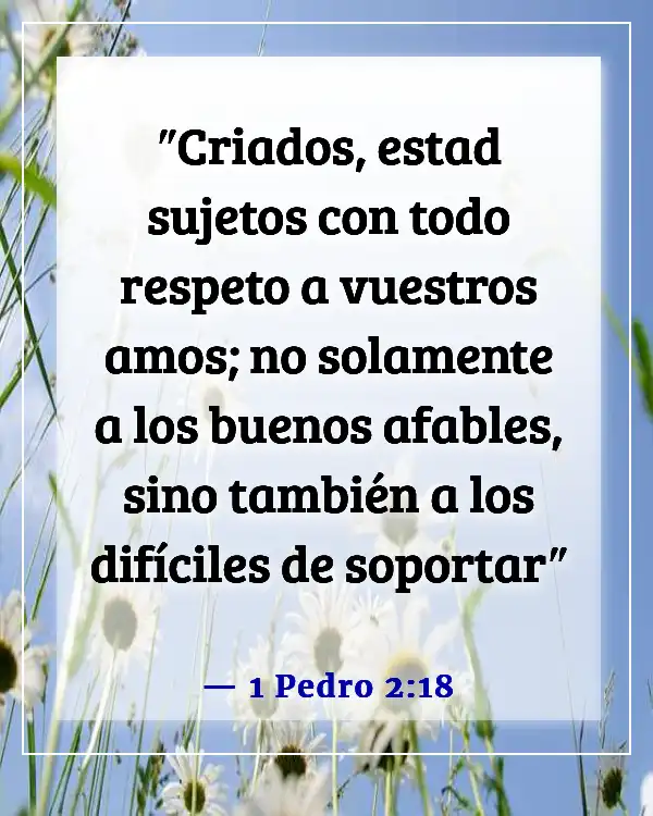 Versículo de la Biblia sobre una mujer que teme al Señor (1 Pedro 2:18)