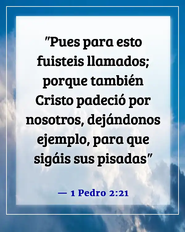 Versículo de la Biblia sobre el sufrimiento siendo temporal (1 Pedro 2:21)