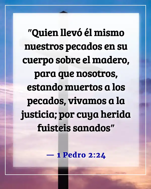 Versículos de la Biblia sobre el dolor físico y la sanación (1 Pedro 2:24)