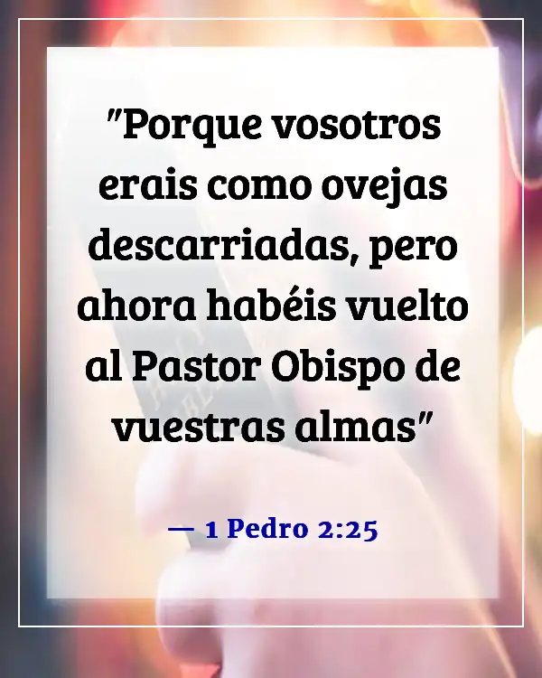 Versículo de la Biblia sobre salvar almas perdidas (1 Pedro 2:25)