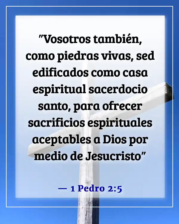 Versículo de la Biblia sobre una mujer que teme al Señor (1 Pedro 2:5)