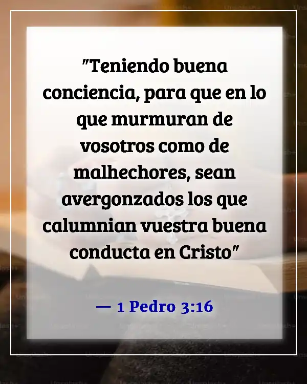 Versículos de la Biblia sobre acusar a otros (1 Pedro 3:16)