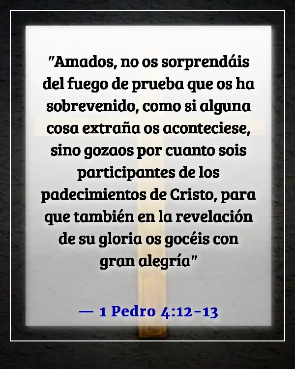 Versículos de la Biblia sobre enfrentar desafíos (1 Pedro 4:12-13)