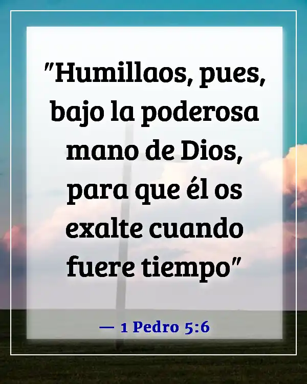 Versículos de la Biblia sobre la paciencia en las relaciones (1 Pedro 5:6)