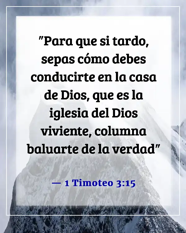 Versículo de la Biblia sobre las partes del cuerpo trabajando juntas (1 Timoteo 3:15)