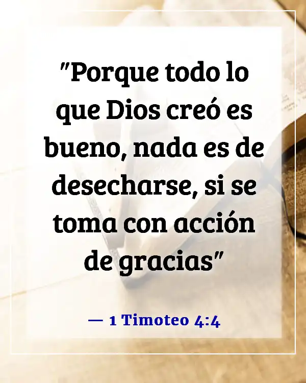 Versículo de la Biblia sobre bendiciones alimenticias (1 Timoteo 4:4)