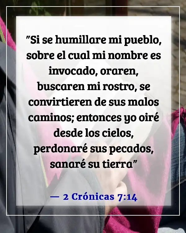 Versículos de la Biblia sobre Dios respondiendo a las oraciones (2 Crónicas 7:14)