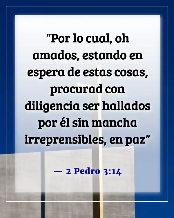 Versículo bíblico para la constancia (2 Pedro 3:14)