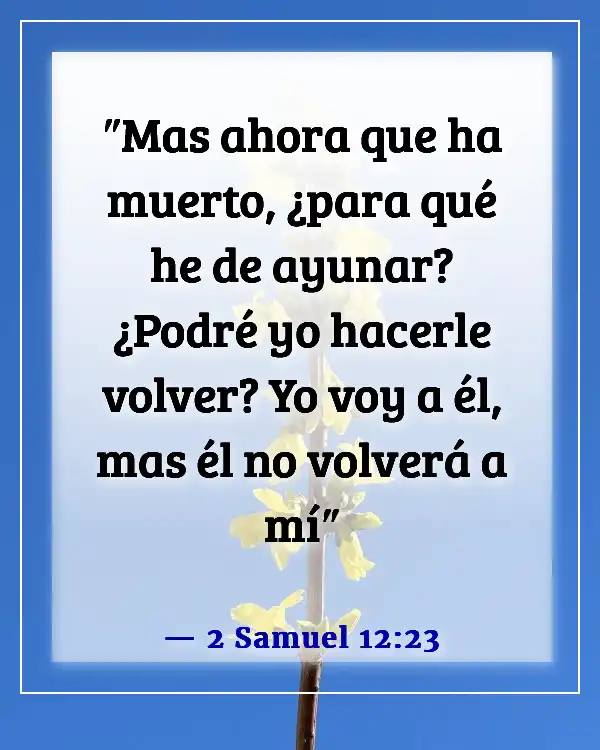 Versículos bíblicos para la muerte inesperada de un niño (2 Samuel 12:23)