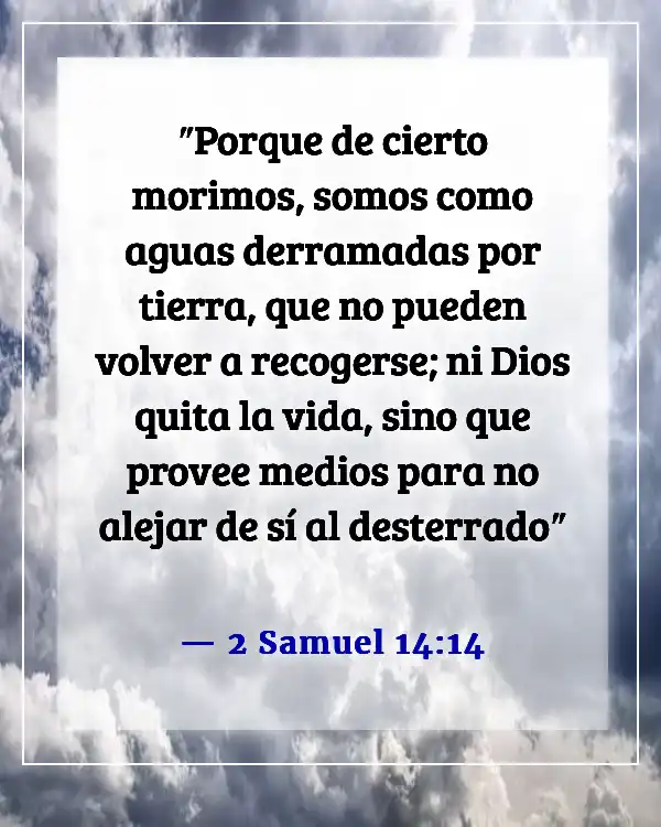 Versículo de la Biblia sobre el paso rápido del tiempo (2 Samuel 14:14)