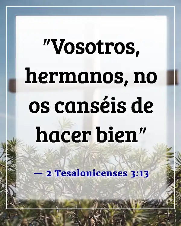 Versículo de la Biblia sobre correr la carrera con perseverancia (2 Tesalonicenses 3:13)