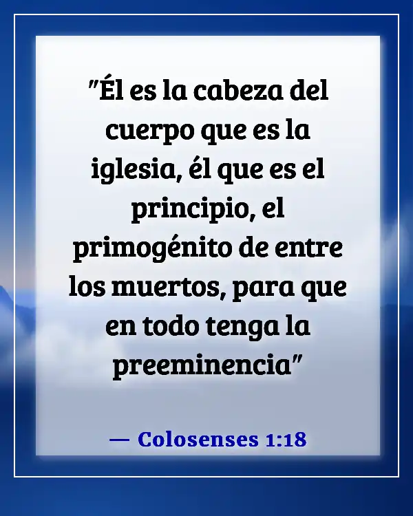 Versículo de la Biblia sobre las partes del cuerpo trabajando juntas (Colosenses 1:18)