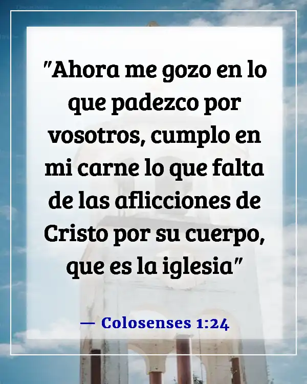 Versículos de la Biblia sobre perder la vida por Dios (Colosenses 1:24)