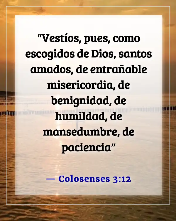 Versículos de la Biblia sobre tratar a los demás con honor, amor, dignidad y respeto (Colosenses 3:12)