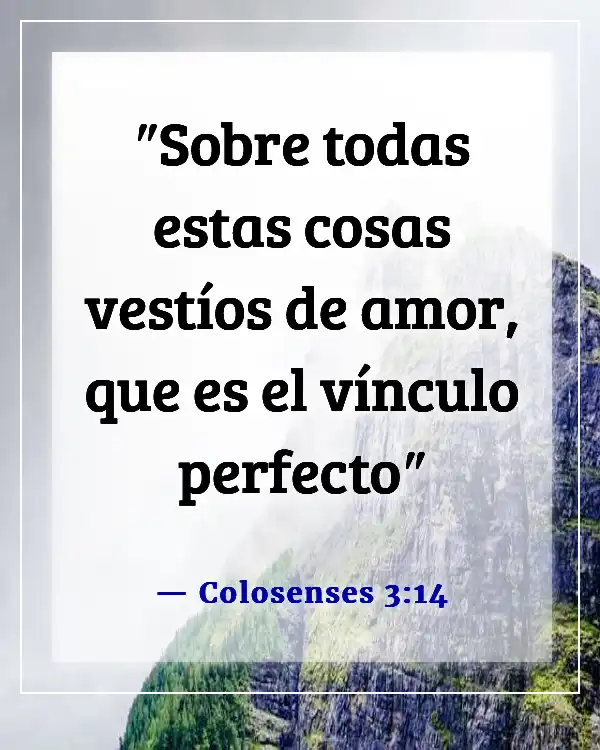 Versículos de la Biblia sobre Jesús amando a todos por igual (Colosenses 3:14)