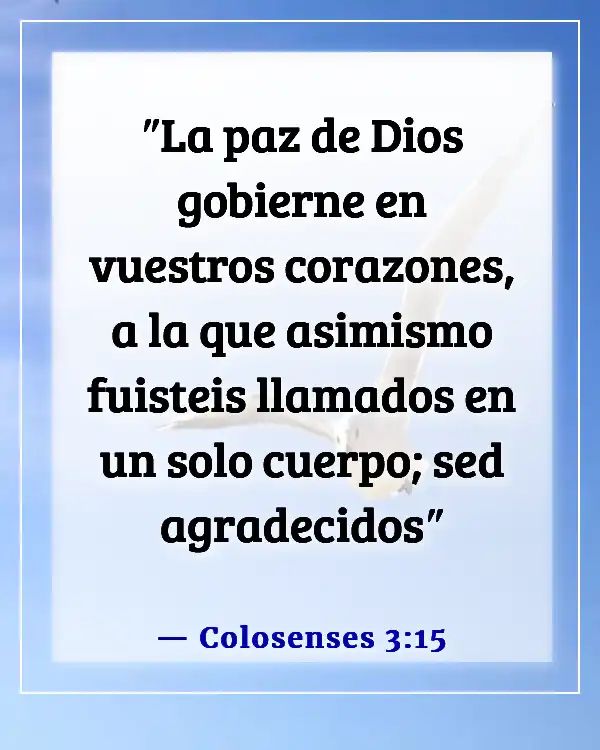 Versículos de la Biblia sobre sentirse emocionalmente inestable y agotado (Colosenses 3:15)