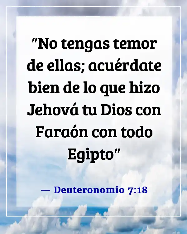 Versículos de la Biblia sobre recordar lo que Dios ha hecho (Deuteronomio 7:18)