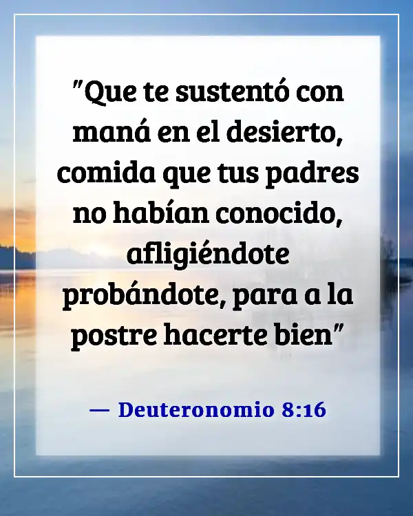 Versículos de la Biblia sobre cómo Dios convierte lo malo en bueno (Deuteronomio 8:16)