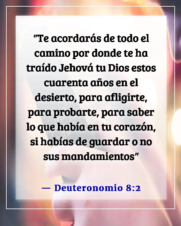 Versículos de la Biblia sobre recordar lo que Dios ha hecho (Deuteronomio 8:2)