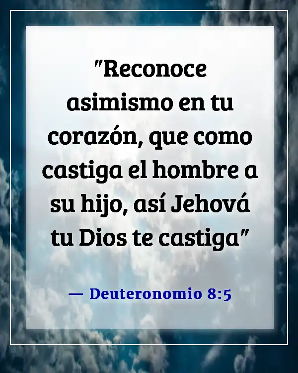 Versículos de la Biblia sobre la disciplina (Deuteronomio 8:5)