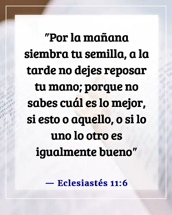 Versículos bíblicos para la dedicación de un negocio (Eclesiastés 11:6)