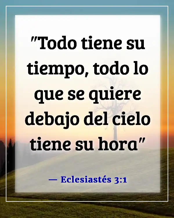 Versículos de la Biblia sobre seguir adelante después de una relación (Eclesiastés 3:1)