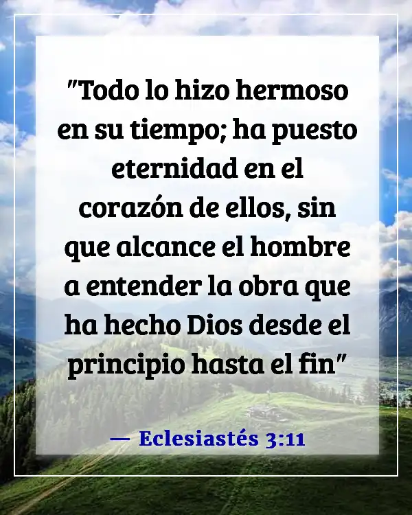 Versículos de la Biblia sobre la belleza de la naturaleza (Eclesiastés 3:11)