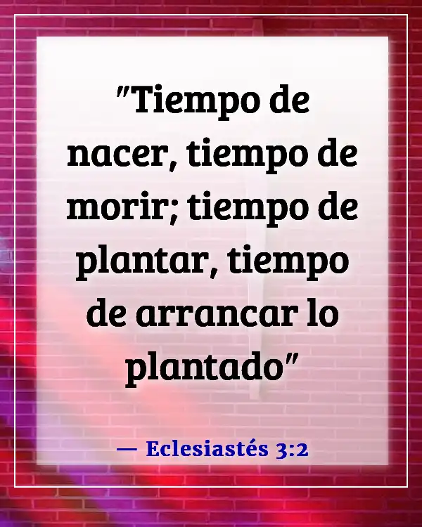 Versículos de la Biblia sobre aceptar la muerte (Eclesiastés 3:2)