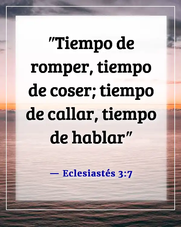 Versículos de la Biblia sobre el silencio y la soledad (Eclesiastés 3:7)