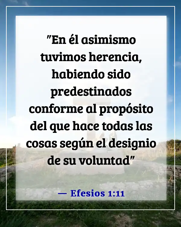 Versículos de la Biblia sobre la libertad de elección (Efesios 1:11)