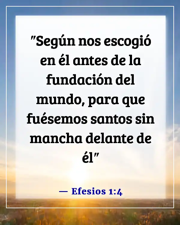 Versículos bíblicos sobre lo valiosos que somos para Dios (Efesios 1:4)