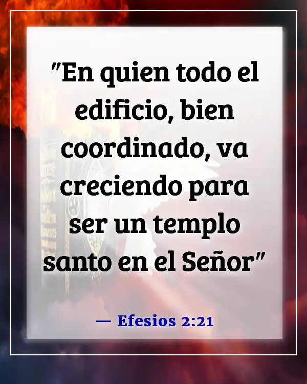 Versículo de la Biblia sobre las partes del cuerpo trabajando juntas (Efesios 2:21)