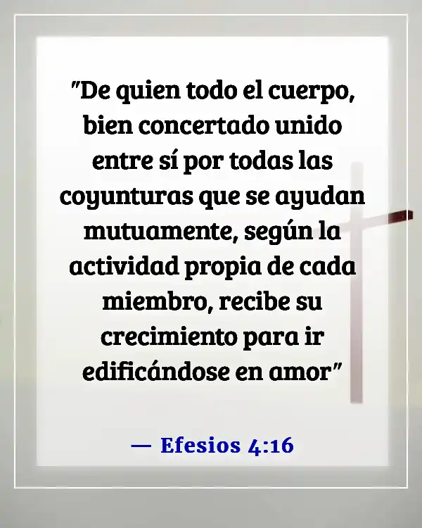 Versículos de la Biblia sobre la comunión con otros creyentes (Efesios 4:16)